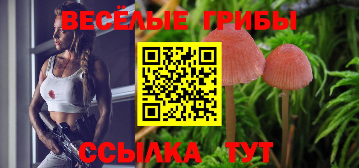 Якутск  Галлюциногенные грибы Cubensis  закладки  Вход с VPN 